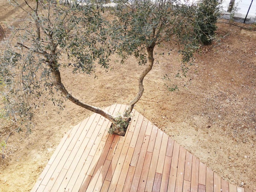 TERRASSE-BOIS
