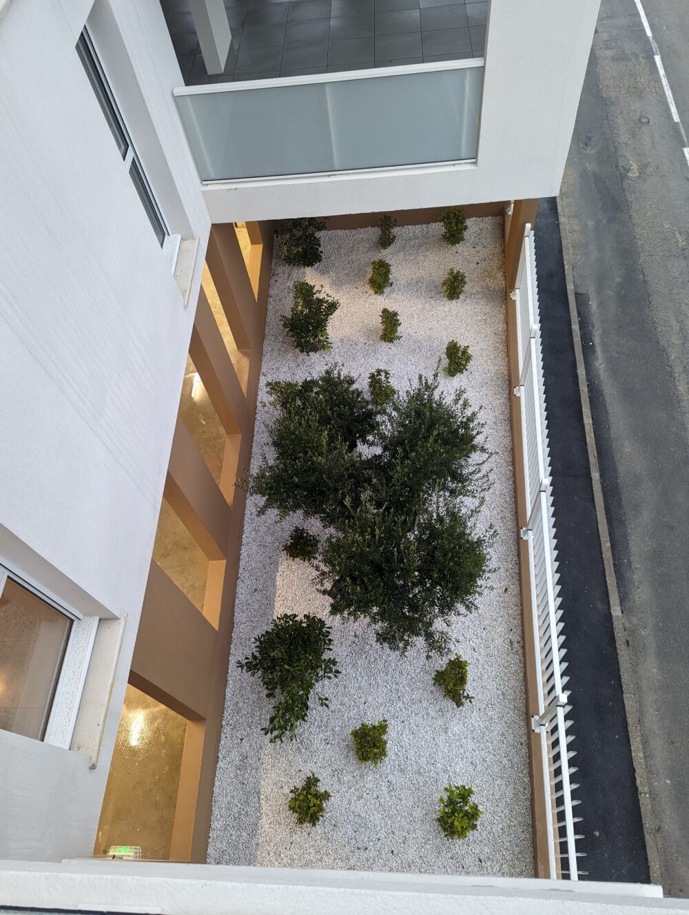 PXL_20221215_093344655